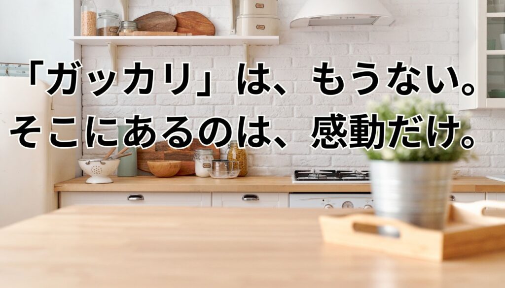 アラジントースター購入前の最終チェック