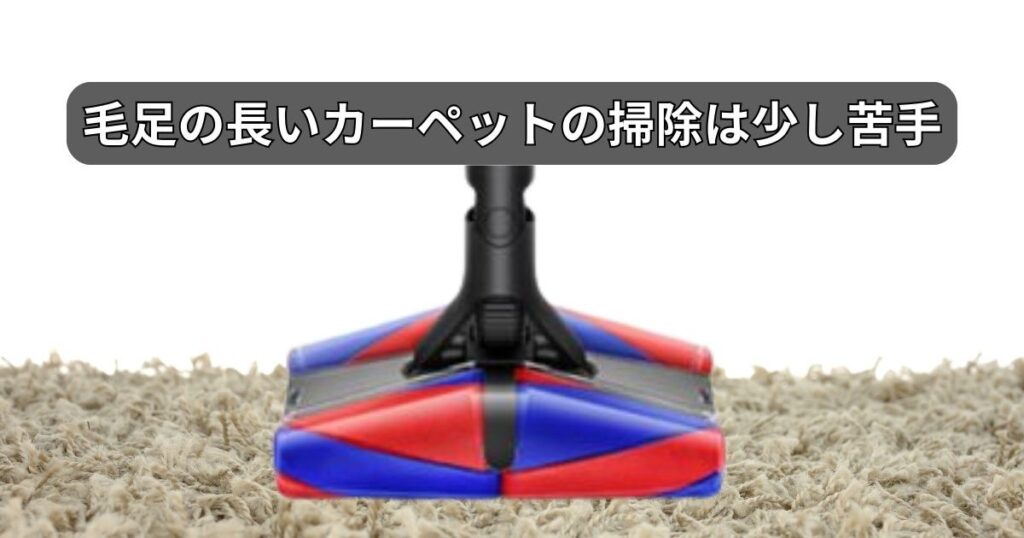 毛足の長いカーペットの掃除は少し苦手