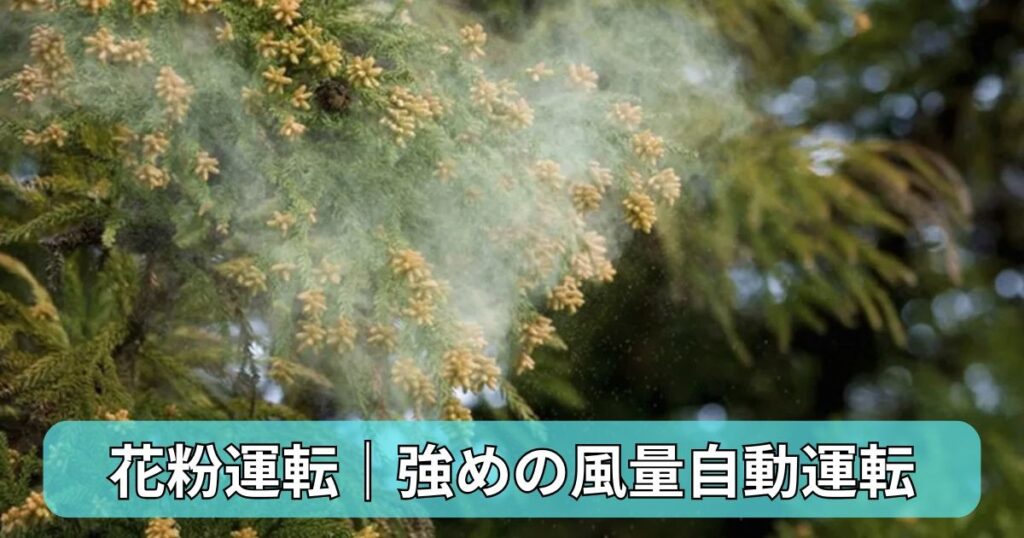 花粉運転