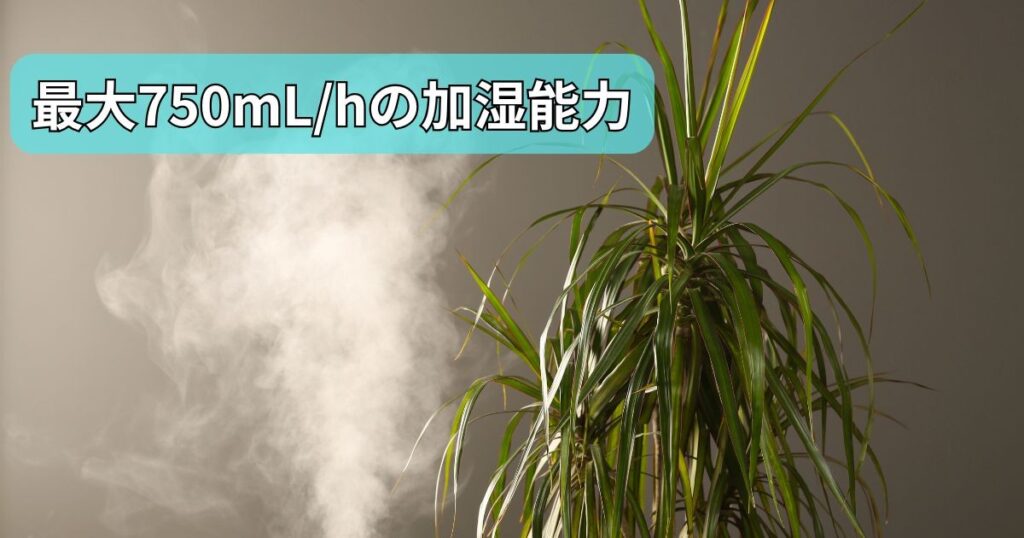 リビングにも十分な最大750mL/hの加湿能力