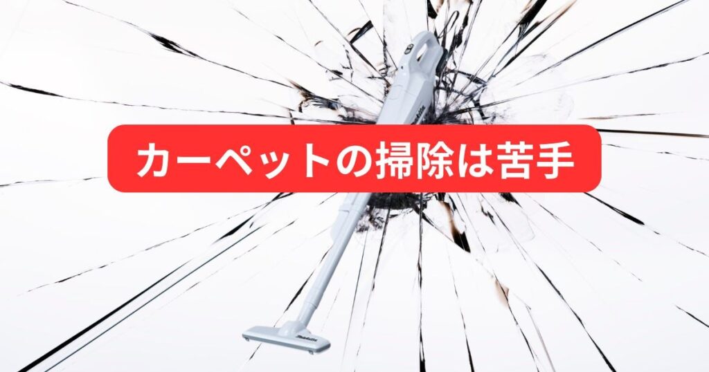 フローリングは得意ですが、カーペットには注意が必要