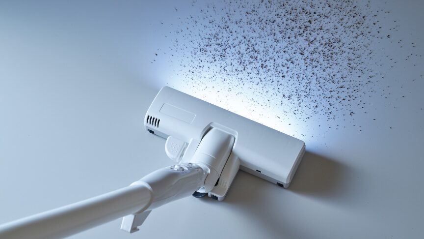 親・子どちらも光る